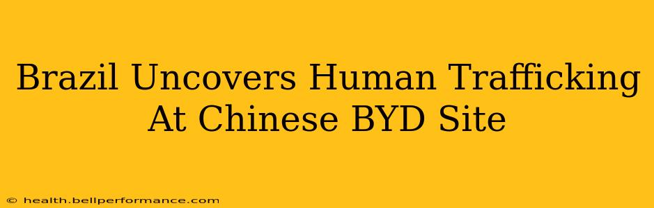 Brazil Uncovers Human Trafficking At Chinese BYD Site