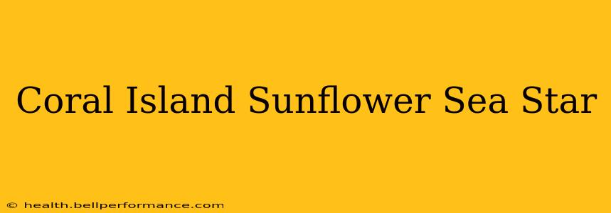 Coral Island Sunflower Sea Star