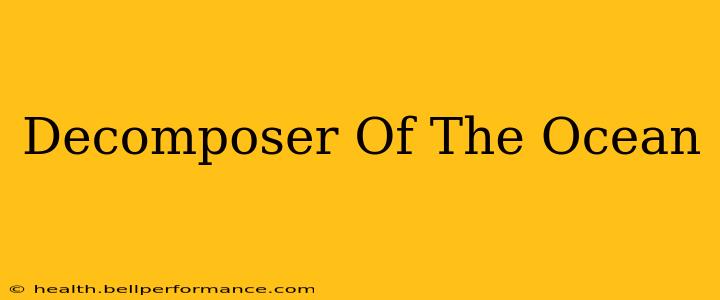 Decomposer Of The Ocean